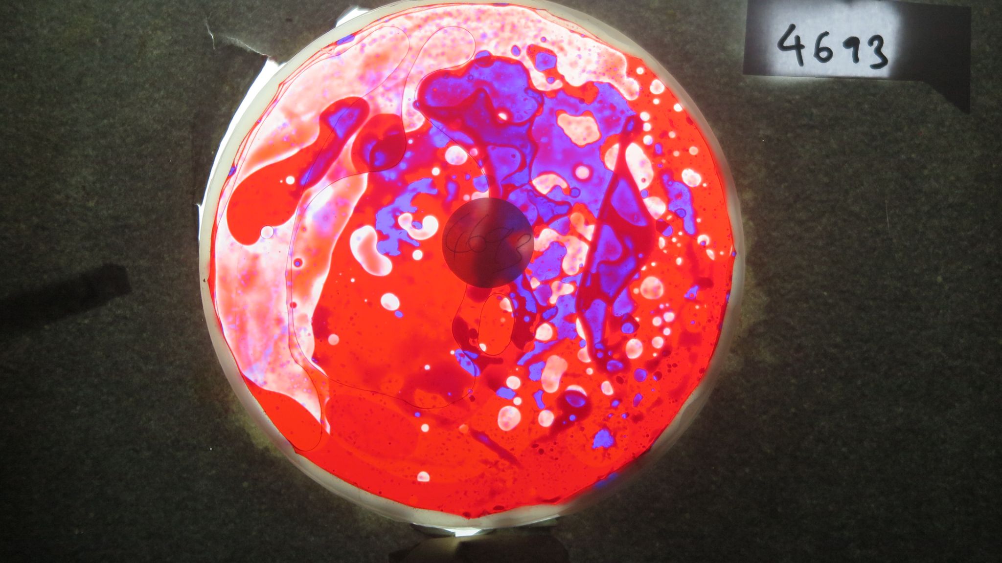 BV4693 bubble vision oil wheel